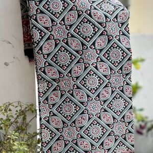 Handblock kota doira saree